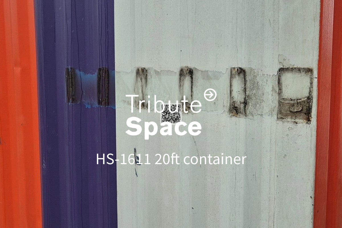 HS-1611 20ft container