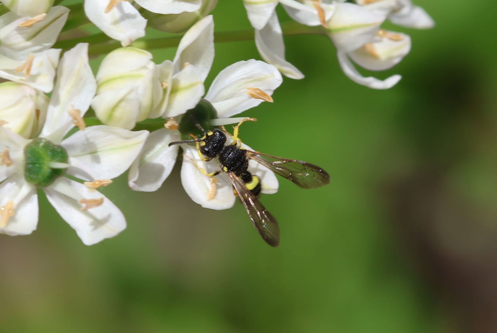 026e1ad1-ae92-4e4e-a734-6b249604b9c4.jpg