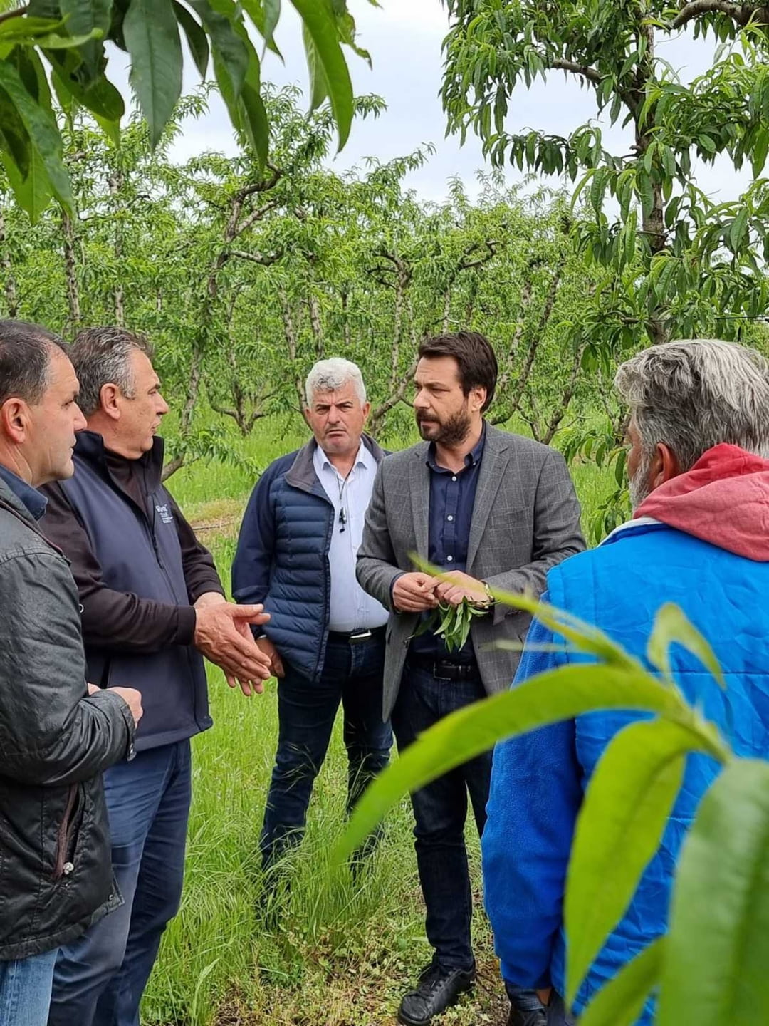 Μπαρτζώκας