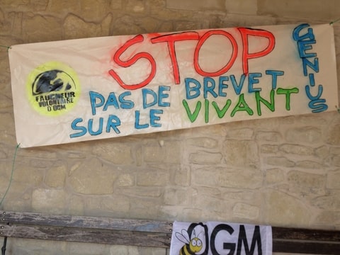 Cliquer sur la photo pour l'agrandir.