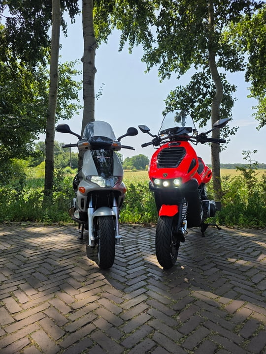 External inline image provided by member with no explanatory text