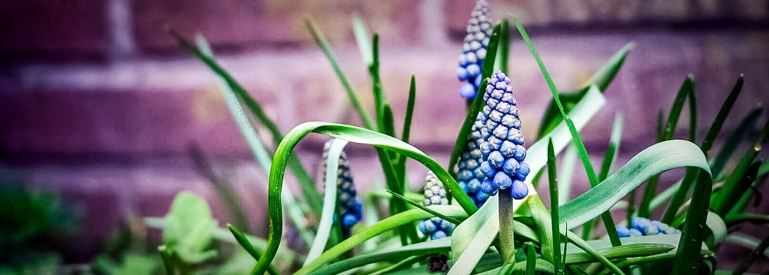 Elke dag een mooi moment