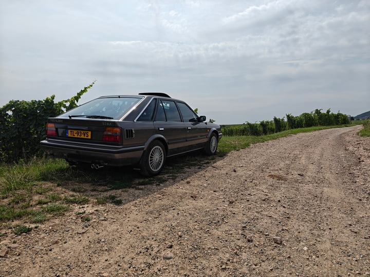 665dd2f2-955f-438f-a593-12f48f7594ec.jpg