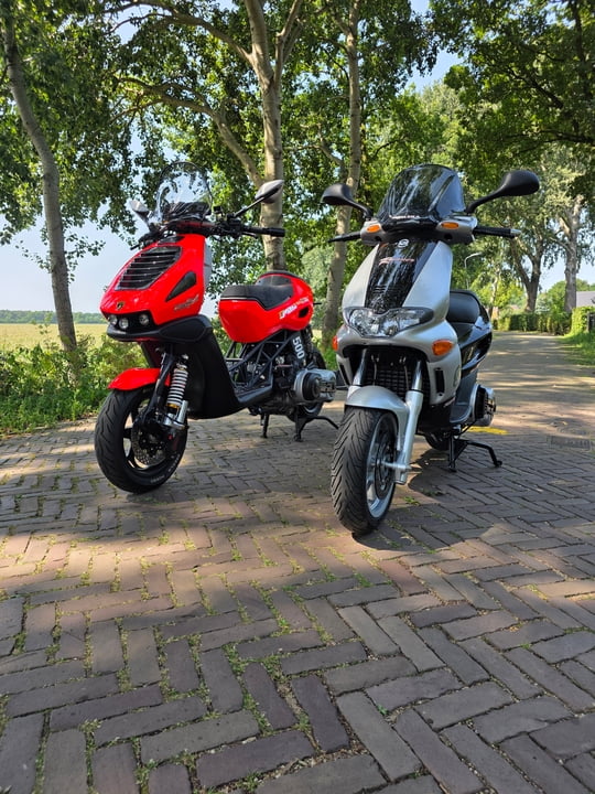 External inline image provided by member with no explanatory text