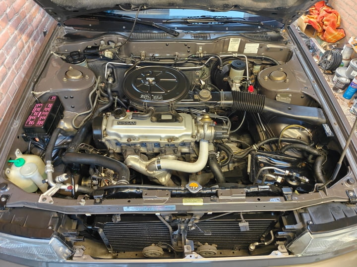 c24bf77d-a405-43f0-acfe-4517a643e604.jpg