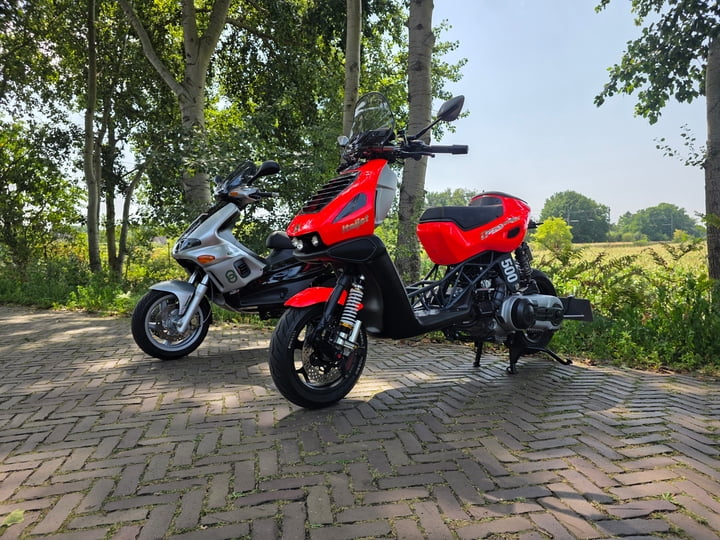 External inline image provided by member with no explanatory text